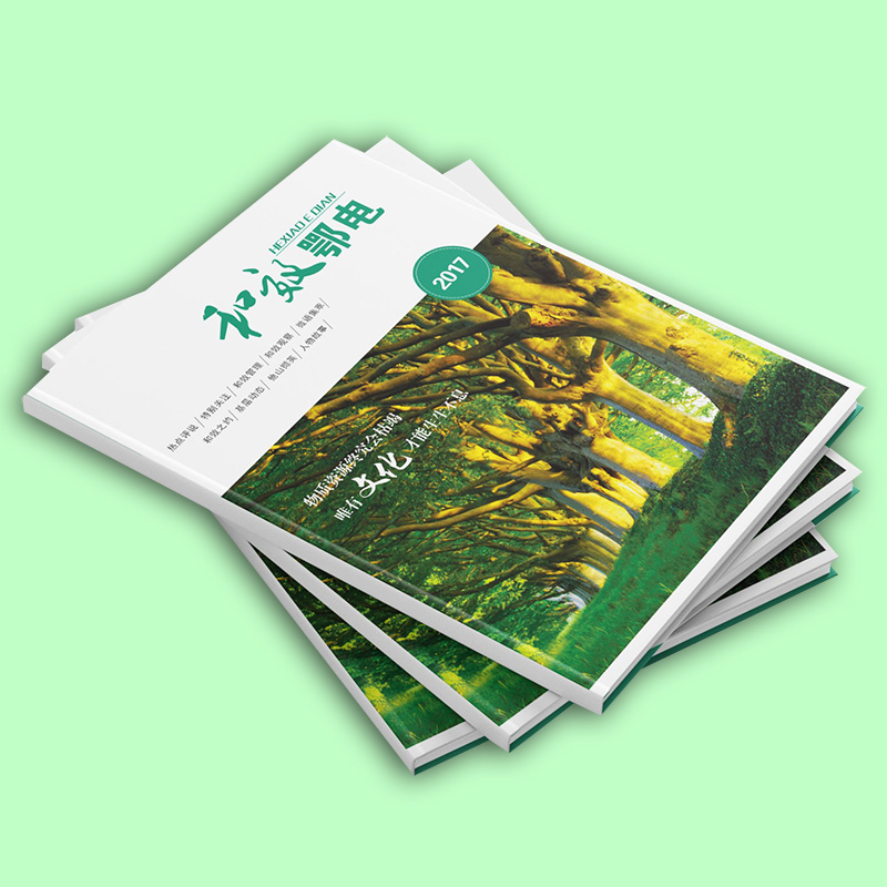 海南海口印刷廠 畫冊印刷 定制各類畫冊印刷(圖1)